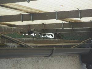 PIC3